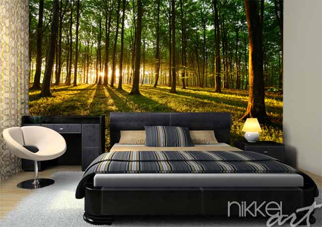 Breng de natuur in huis met fotobehang bossen