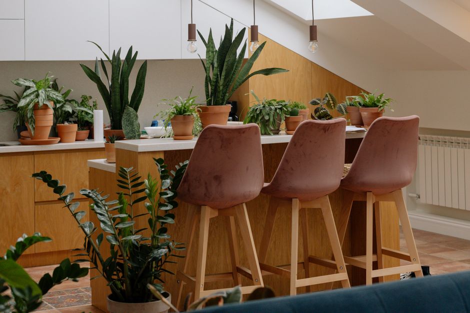 Kleinere kamerplanten verspreid in zonovergoten hoek.