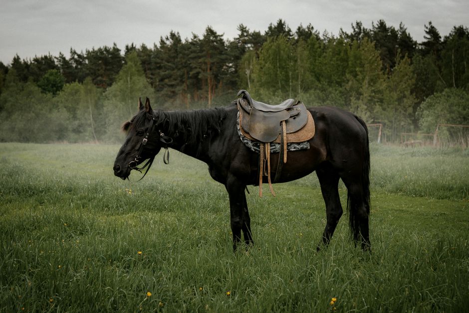 Vintage paardensculptuur met rustieke houten basis. Vintage paardensculptuur met rustieke houten basis.