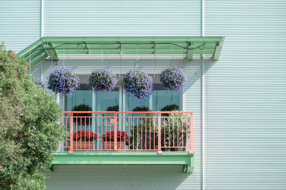 Verticaal tuinieren voegt levendigheid toe aan balkon. Verticaal tuinieren voegt levendigheid toe aan balkon.