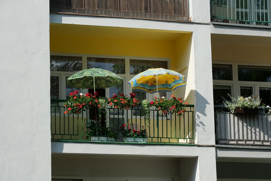 Zonnig balkon met kleurrijke bloemen en planten. Zonnig balkon met kleurrijke bloemen en planten.