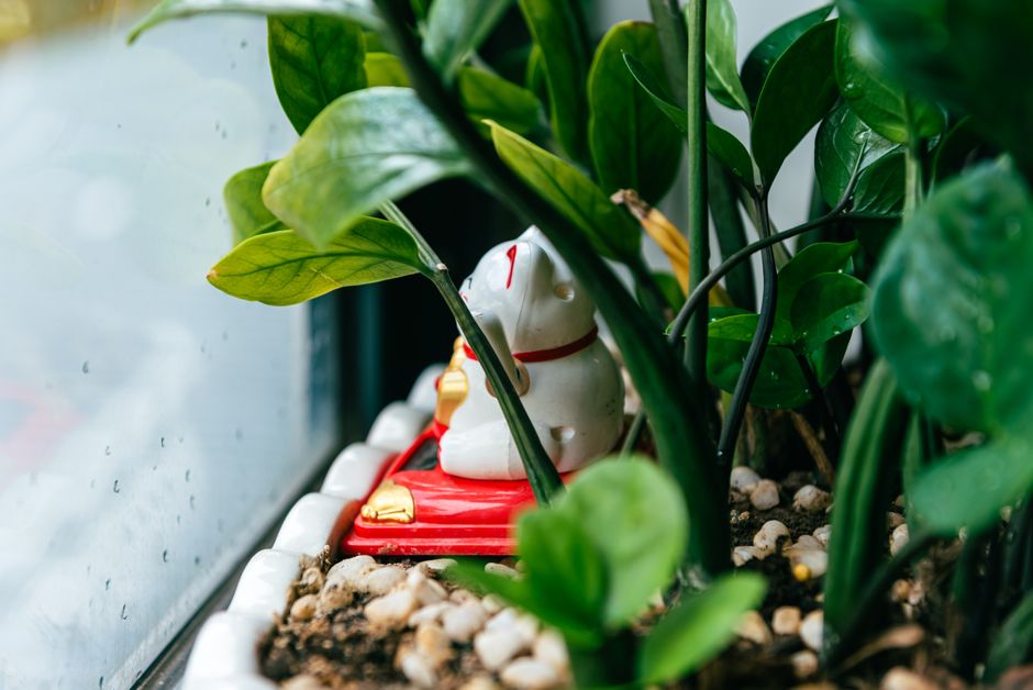 Rustgevende herfstavond in minimalistische Japanse tuin