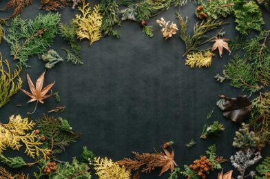 Kleurentheorie in actie: dragende muren voor een energieke herfst